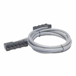 Data Distribution Cable - Cat 5e - UTP - CMR - 6xRJ-45 Jack To 6xRJ-45 Jack - 20m - Grey